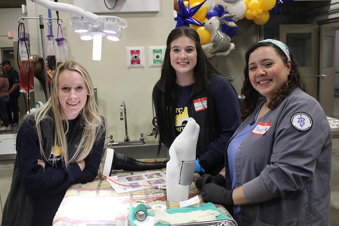 Veterinary Technology students in a lab. 